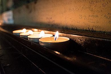 打造桌面温馨花园 放置新游试玩版已上线！